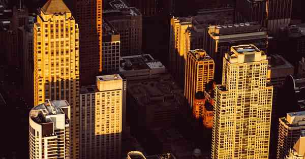 佛跳墙最新版下载v2.